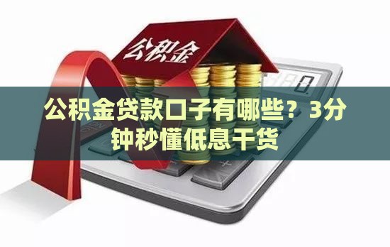 公积金贷款口子有哪些？3分钟秒懂低息干货