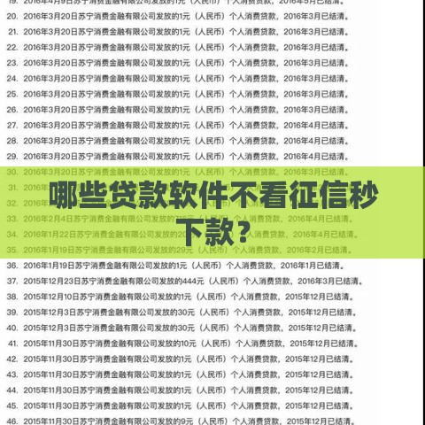 哪些贷款软件不看征信秒下款？