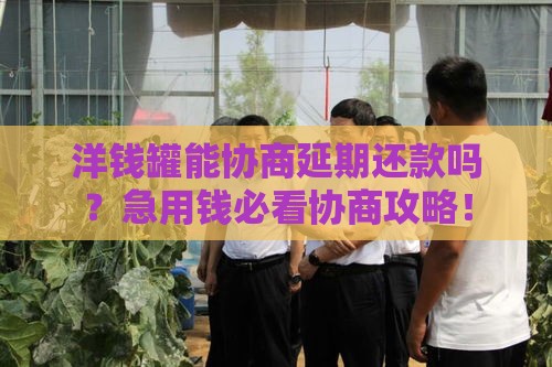 洋钱罐能协商延期还款吗？急用钱必看协商攻略！