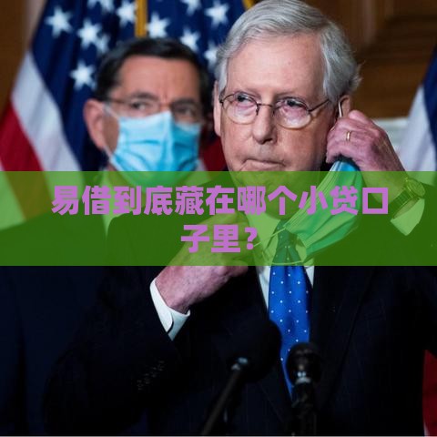 易借到底藏在哪个小贷口子里？