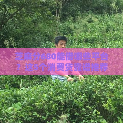 芝麻分680能借哪些平台？这5个消费贷靠谱推荐，轻松解决资金需求！