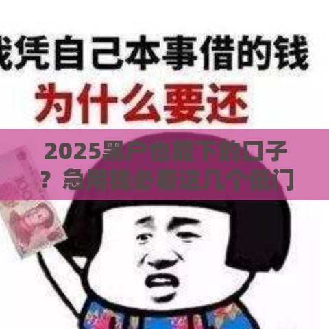 2025黑户也能下的口子？急用钱必看这几个低门槛新渠道