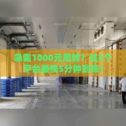 急需1000元周转？这5个平台最快5分钟到账！