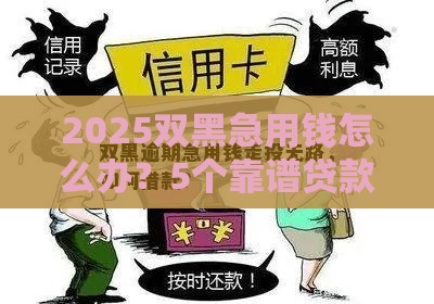 2025双黑急用钱怎么办？5个靠谱贷款方案推荐
