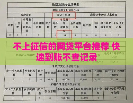 不上征信的网贷平台推荐 快速到账不查记录