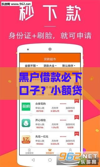 黑户借款必下口子？小额贷款这些门道要看清