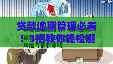 贷款逾期管理必看！3招教你轻松避开逾期风险
