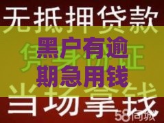 黑户有逾期急用钱？这5个渠道或许能帮你救急！