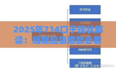 2025年714口子现状解读：短期应急借款必看风险分析