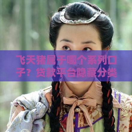 飞天猪属于哪个系列口子？贷款平台隐藏分类全解析