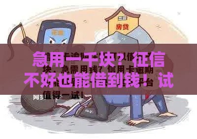 急用一千块?征信不好也能借到钱!试试这几个合法途径 急用一千块?征信不好也能借到钱!试试这几个合法途径