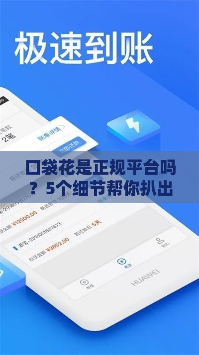 口袋花是正规平台吗？5个细节帮你扒出真相