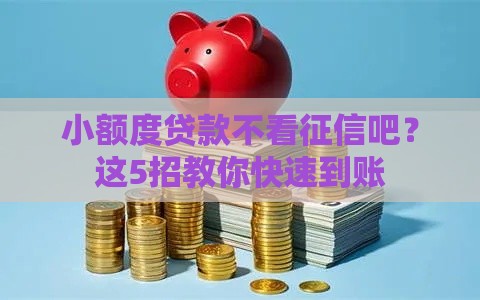 小额度贷款不看征信吧？这5招教你快速到账