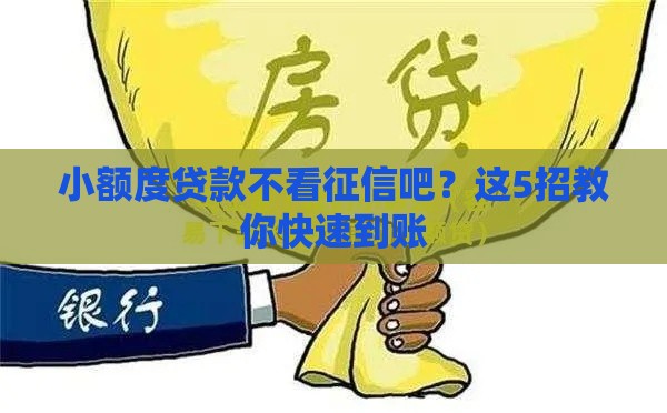 小额度贷款不看征信吧？这5招教你快速到账