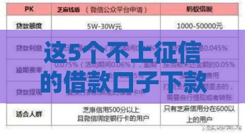 这5个不上征信的借款口子下款快
