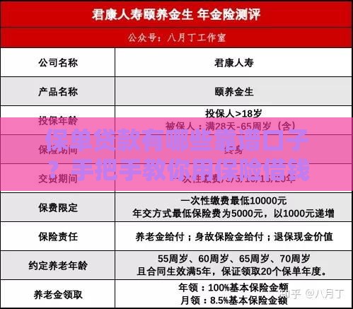 保单贷款有哪些靠谱口子？手把手教你用保险借钱