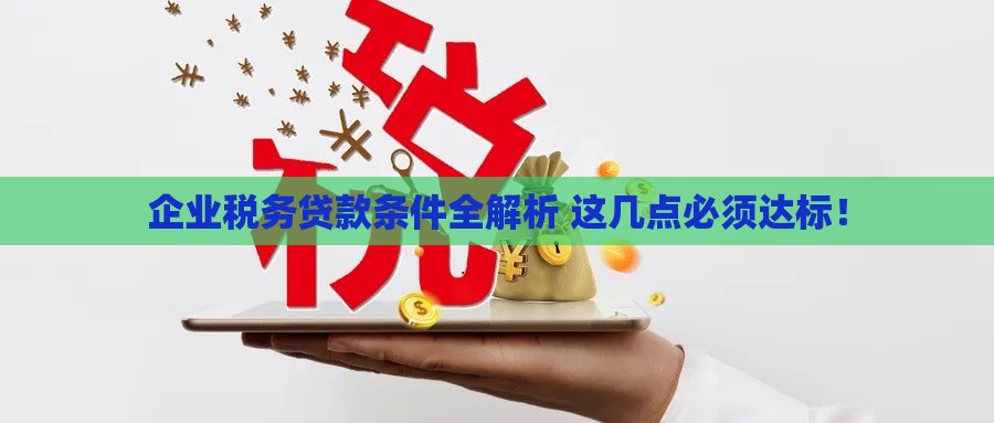企业税务贷款条件全解析 这几点必须达标！