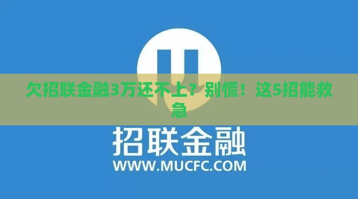 欠招联金融3万还不上？别慌！这5招能救急