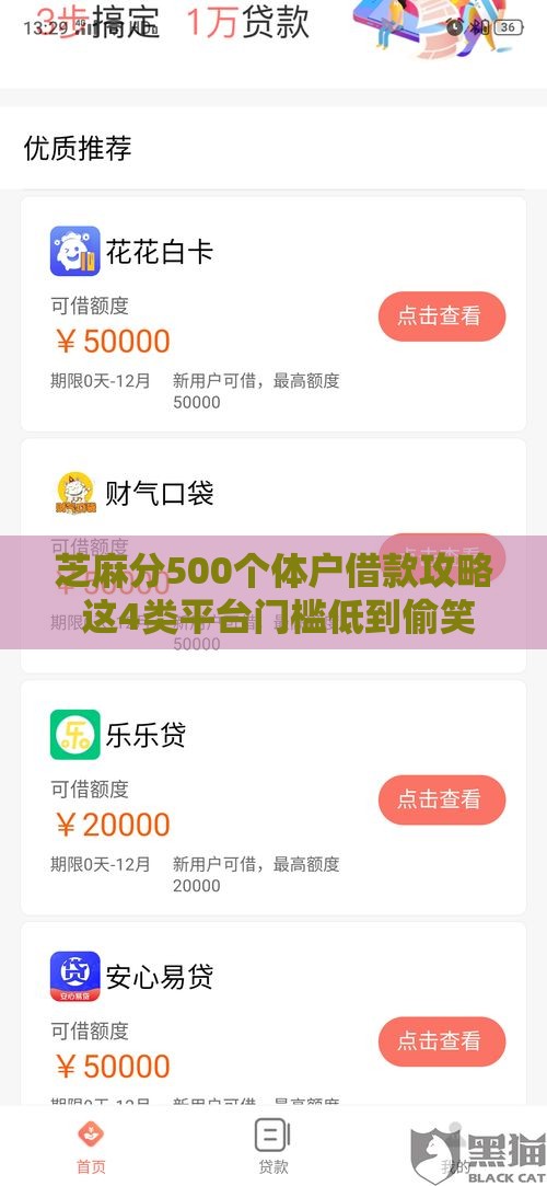 芝麻分500个体户借款攻略 这4类平台门槛低到偷笑