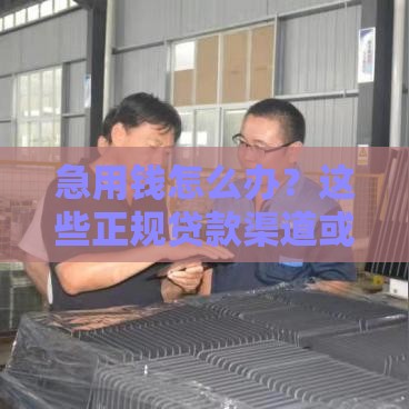 急用钱怎么办？这些正规贷款渠道或许能解你燃眉之急！