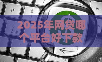 2025年网贷哪个平台好下款？这5家通过率高又靠谱！