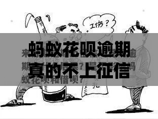 蚂蚁花呗逾期真的不上征信？这些细节不注意照样影响贷款！