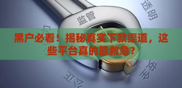 黑户必看！揭秘真实下款渠道，这些平台真的能救急？