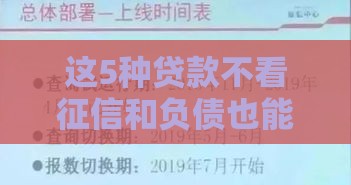 这5种贷款不看征信和负债也能申请（附避坑指南）