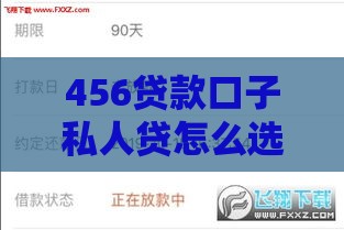 456贷款口子私人贷怎么选？这5个避坑技巧一定要看！