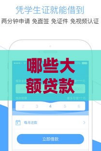 哪些大额贷款容易下款？这5个正规渠道别错过