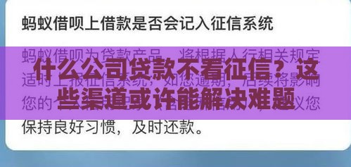 什么公司贷款不看征信？这些渠道或许能解决难题