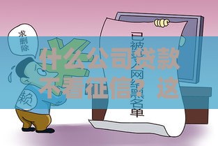 什么公司贷款不看征信？这些渠道或许能解决难题