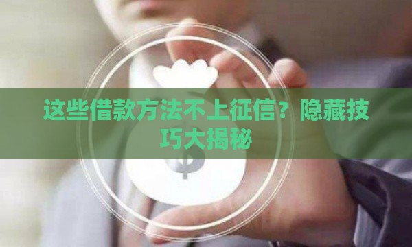 这些借款方法不上征信？隐藏技巧大揭秘