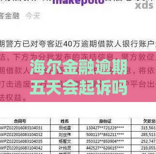 海尔金融逾期五天会起诉吗？真实情况+应对方法全解析