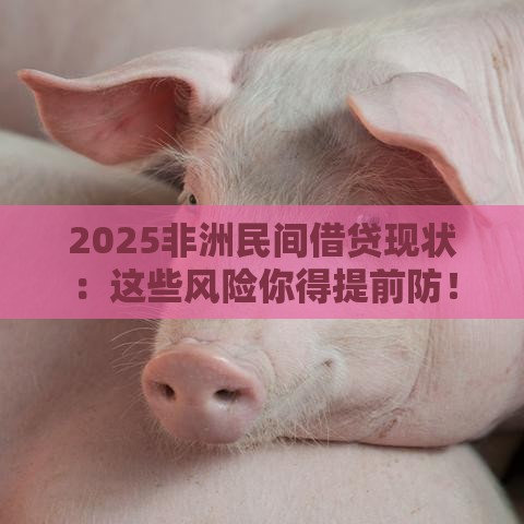 2025非洲民间借贷现状：这些风险你得提前防！