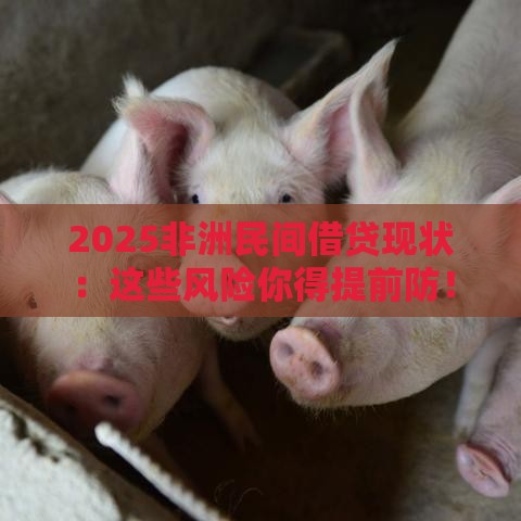 2025非洲民间借贷现状：这些风险你得提前防！