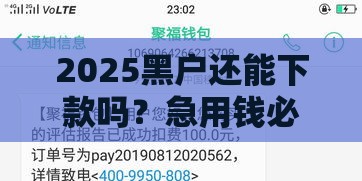 2025黑户还能下款吗？急用钱必看最新盘点！
