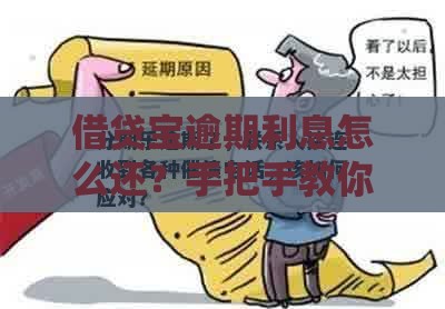 借贷宝逾期利息怎么还？手把手教你应对高额罚息，避免踩坑！