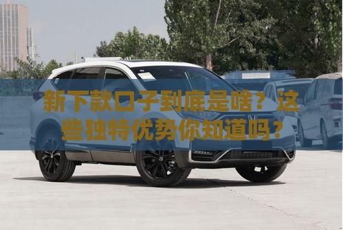 新下款口子到底是啥？这些独特优势你知道吗？