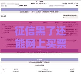 征信黑了还能网上买票吗？贷款用户必看攻略！