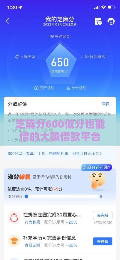 芝麻分600低分也能借的大额借款平台推荐