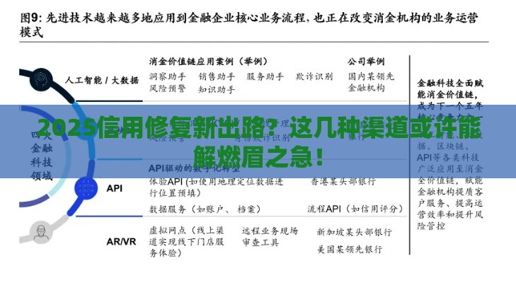 2025信用修复新出路？这几种渠道或许能解燃眉之急！
