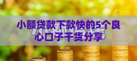 小额贷款下款快的5个良心口子干货分享
