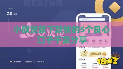 小额贷款下款快的5个良心口子干货分享