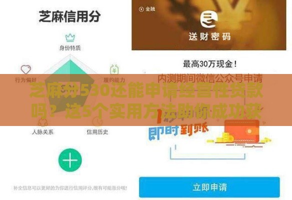 芝麻分530还能申请经营性贷款吗？这5个实用方法助你成功获贷
