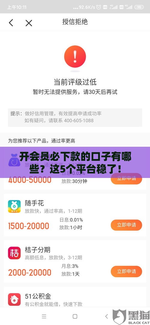 开会员必下款的口子有哪些？这5个平台稳了！