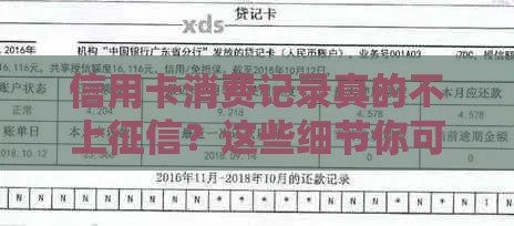 信用卡消费记录真的不上征信？这些细节你可能没注意！