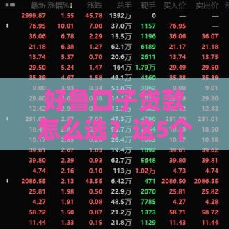 好鲁口子贷款怎么选？这5个靠谱渠道帮你快速到账！