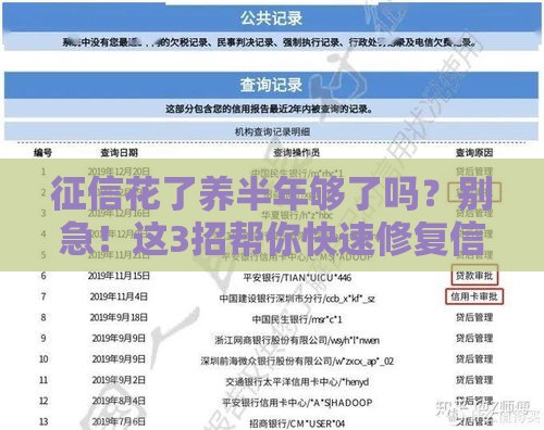 征信花了养半年够了吗？别急！这3招帮你快速修复信用