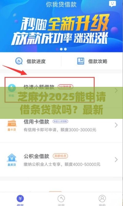 芝麻分2025能申请借条贷款吗？最新申请攻略来啦！